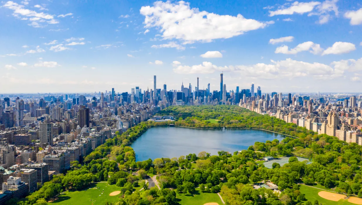 Experience the Best of New York with DPV